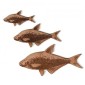 Bronze Bream MDF Fish Wood Shape