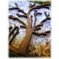 Skeleton Tree MDF Wood Shape - Style 3