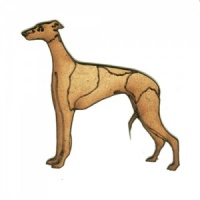 Greyhound - MDF Wood Dog Shape