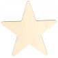 Standard Star Birch Ply Wood Plaque