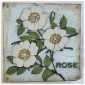 Square - Mixed Media Boards & Plaques