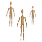 Standard Jointed Art Doll Kit - Style 3