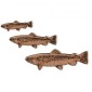 Brown Trout MDF Fish Wood Shape