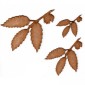 Chestnut Leaf & Twig - MDF Wood Shape