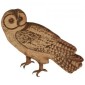 Chinese Owl - MDF Wood Shape