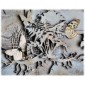 Maidenhair Fern MDF Wood Shape - Style 1