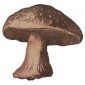 Fly Agaric Mushroom  - MDF Wood Shape
