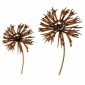 Knapweed Wildflower MDF Wood Shape