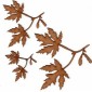 Maple Leaf & Twig - MDF Wood Shape
