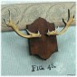 Sheet of Mini Deer & Antlers - MDF Wood Animal Shapes - Style 3