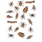 Sheet of Mini Insects - MDF Wood Shapes Style 3