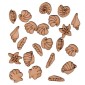 Sheet of Mini MDF Wood Seashells