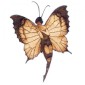 Monarch Butterfly Fairy - MDF Woodland Folk Shape