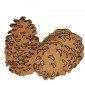 Pinecones - MDF Wood Shape