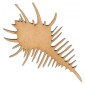 Spiky Seashell - MDF Wood Shape