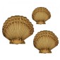 Scalloped Seashell - MDF Wood Shape Style 2