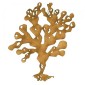 Coin Seaweed - MDF Wood Shape Style 5