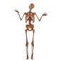 Skeleton MDF Wood Shape Style 2