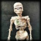 Standing Skeleton - MDF/Birch Ply Wood Kit