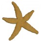 Starfish - MDF Wood Shape