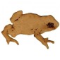 Crawling Toad - MDF Wood Shape