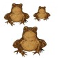 Staring Toad - MDF Wood Shape