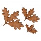 White Oak Leaf & Twig - MDF Wood Shape