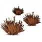 Wild Grass MDF Wood Shape - Style 5