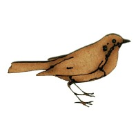 Seasonal Shapes - Winter Birds