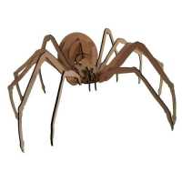 Spiders, Webs & Creepy Crawlies