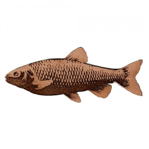 Chub MDF Fish Wood Shape