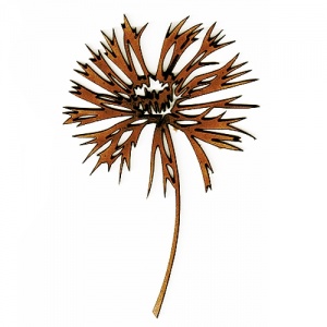 Knapweed Wildflower MDF Wood Shape