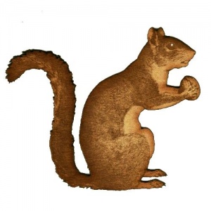 Squirrel with Walnut - MDF Wood Shape