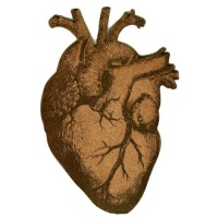 Anatomical Heart - MDF Wood Shape