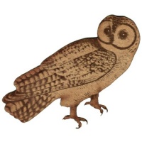 Chinese Owl - MDF Wood Shape