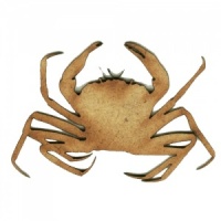 Crab MDF Wood Shape - Style 4