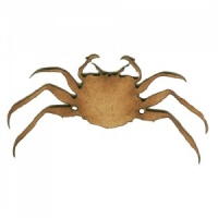 Crab MDF Wood Shape - Style 5