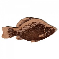 Crucian Carp MDF Fish Wood Shape