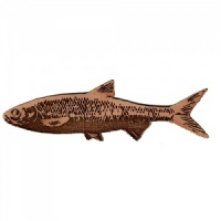 Dace MDF Fish Wood Shape