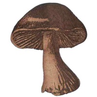 Red Sickener Mushroom  - MDF Wood Shape