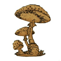 Mushrooms - Fungi MDF Wood Shape 14 - Spotted Toadstools