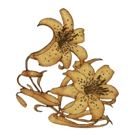 Lily Flowers - MDF Floral Wood Shape Style 52