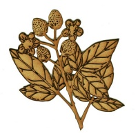 Raspberries & Leaf Sprig MDF Wood Shape