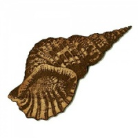 Triton's Trumpet Seashell MDF Wood Shape