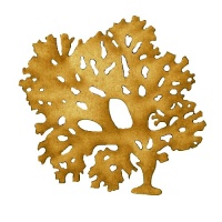 Beautiful Fan Weed - MDF Seaweed Wood Shape Style 8