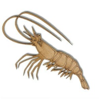 Shrimp MDF Wood Shape