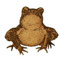 Staring Toad - MDF Wood Shape