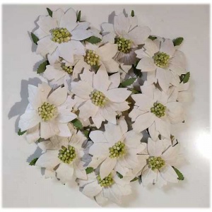White Paper Poinsettia Flowers - Bag of 10